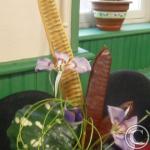 graines de flamboyant du Sénégal 2