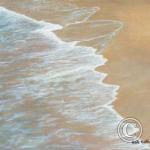 Mousse de marée montante