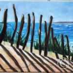 Descente à la mer par les dunes