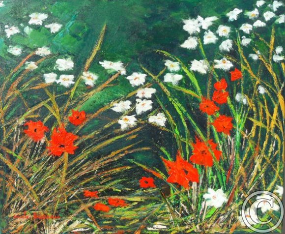 Fleurs de grenouilles