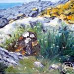 A la cale de Run Prédou à Plougasnou