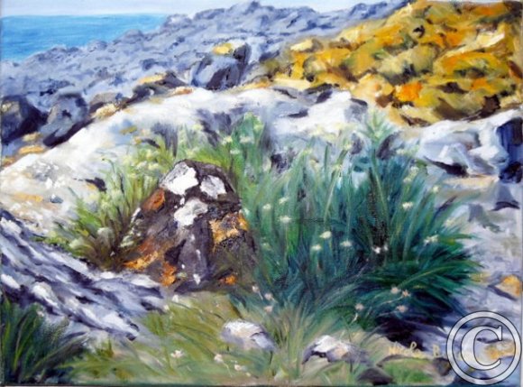 A la cale de Run Prédou à Plougasnou