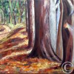 Le long du Douron à Plestin