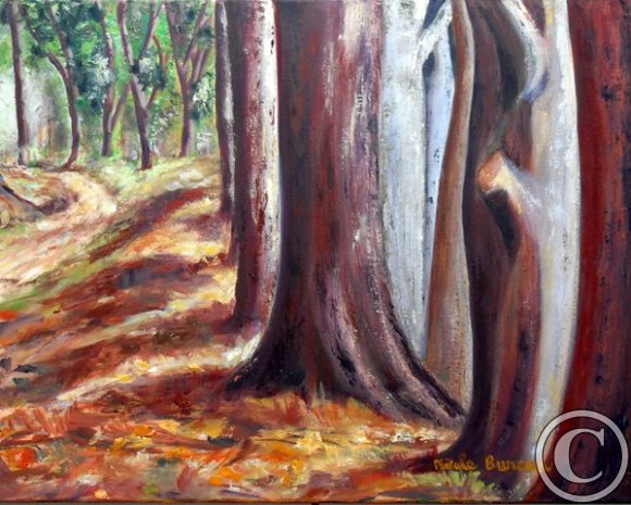 Le long du Douron à Plestin