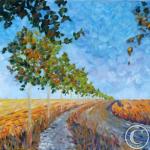 Chemin de pèlerins à Meseta