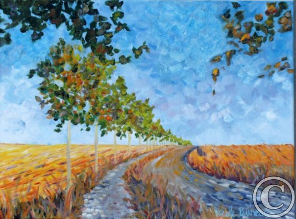 Chemin de pèlerins à Meseta