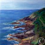 Sentier des douaniers à st Jean du doigt