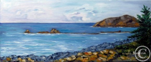 Cale de Run Prédou à Plougasnou