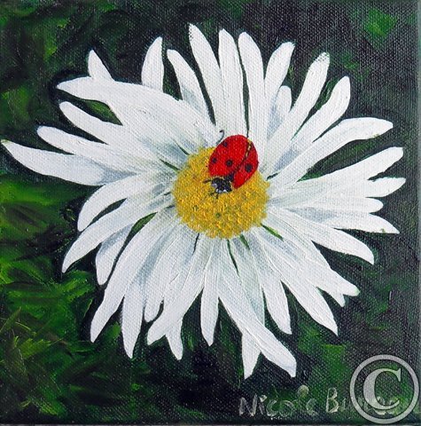 Coccinelle et marguerite