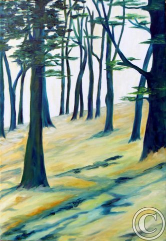 Dans les pins de Locquirec