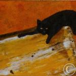Chat noir sur sa planche