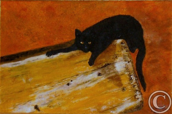 Chat noir sur sa planche